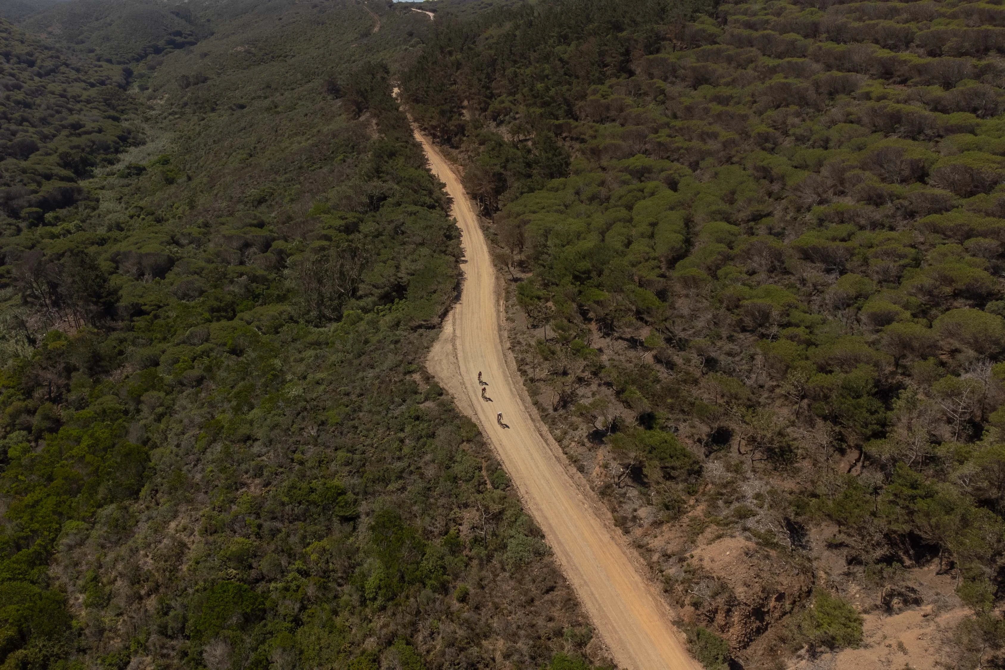 Three cyclists on a gravel track through pine forest on the Costa Vicentina, seen from above